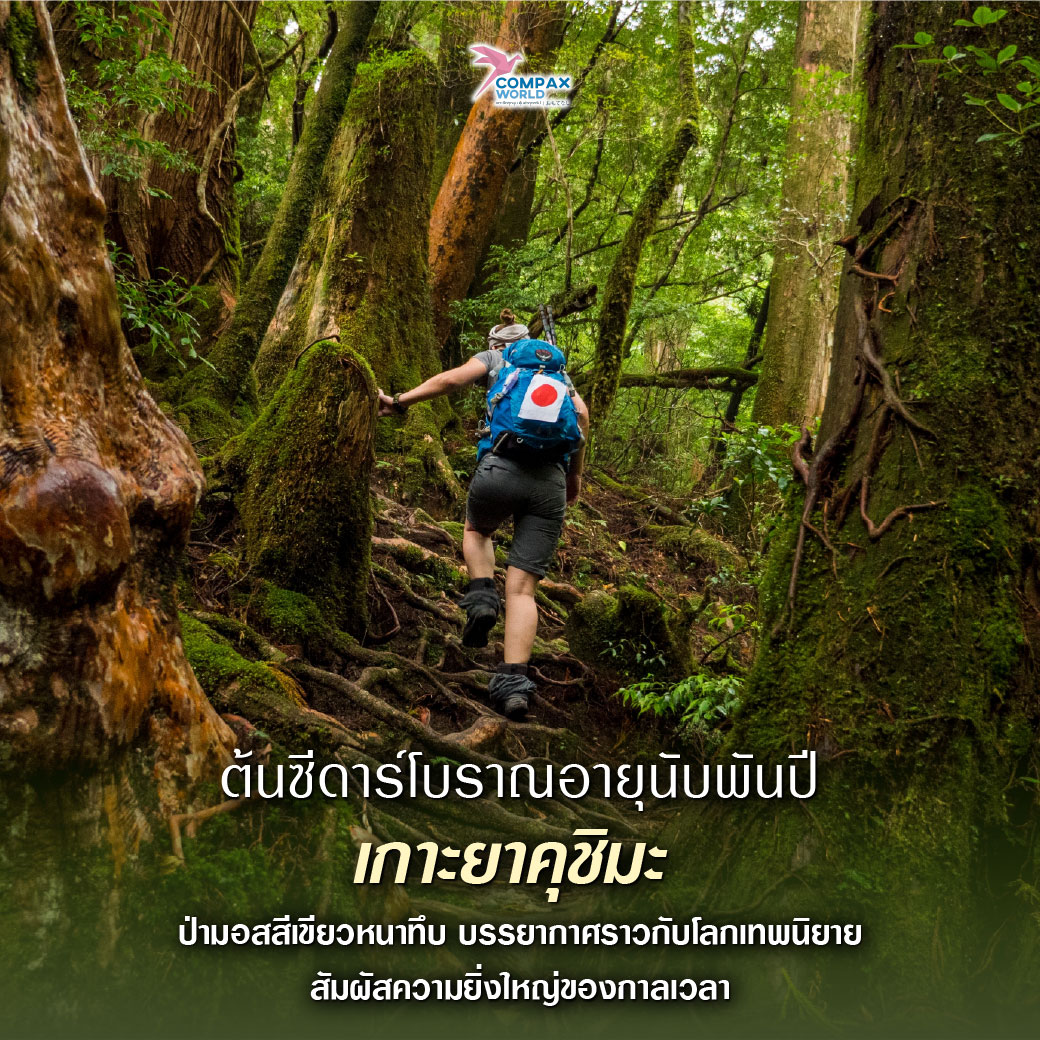 เที่ยวญี่ปุ่น ทัวร์ญี่ปุ่น ทัวร์ญี่ปุ่นพรีเมี่ยม โปรแกรมทัวร์ญี่ปุ่น